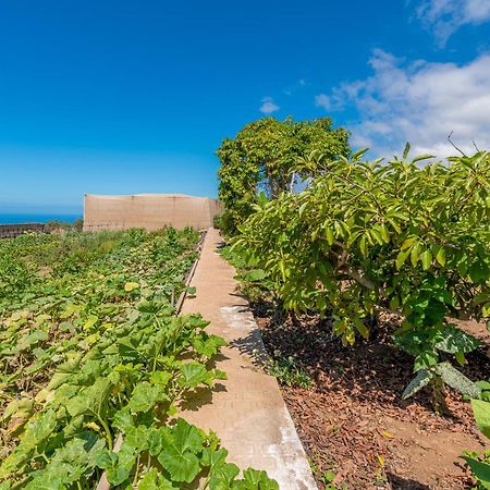 Casa Rural Finca Las Dulces Chío Εξωτερικό φωτογραφία