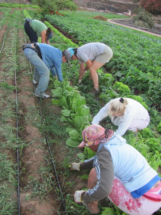 Casa Rural Finca Las Dulces Chío Εξωτερικό φωτογραφία