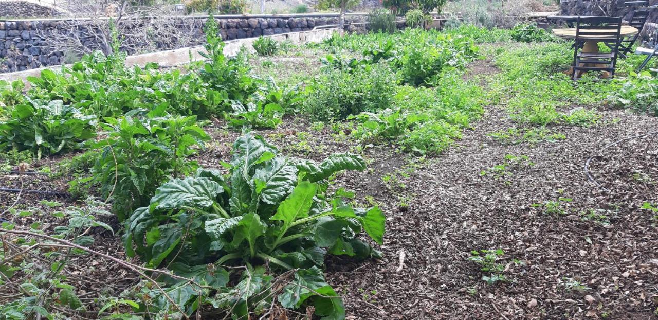 Casa Rural Finca Las Dulces Chío Εξωτερικό φωτογραφία