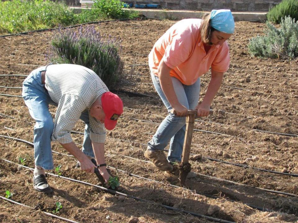 Casa Rural Finca Las Dulces Chío Εξωτερικό φωτογραφία