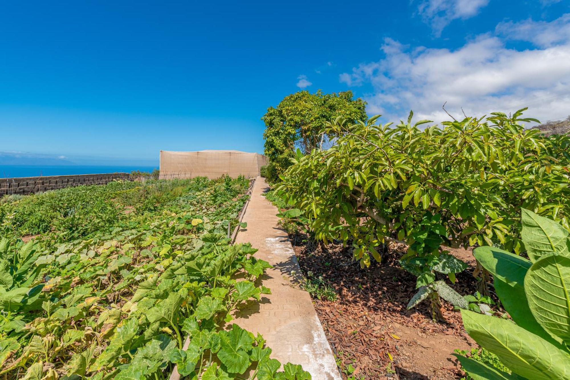 Casa Rural Finca Las Dulces Chío Εξωτερικό φωτογραφία